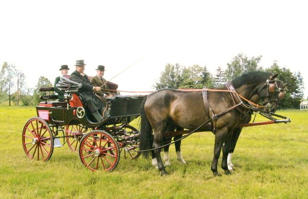 CIAT-2009-Seligenporten