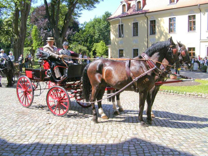 Kutschfahrt-in-Meissen
