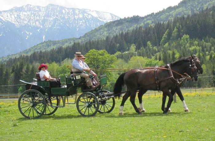 Kutschfahrt_in_Ohlstadt_03